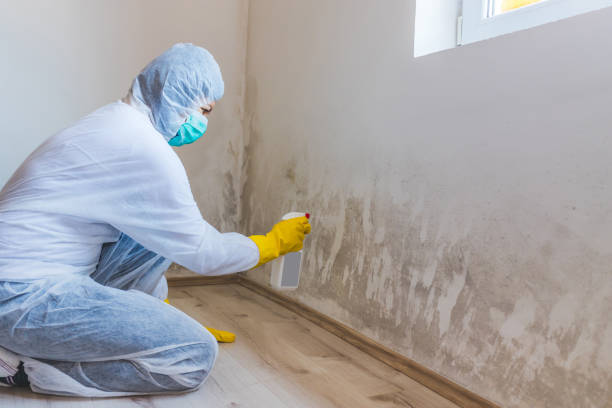 Hvac And Air Duct Mold Remediation inspection of HVAC system in Lakewood