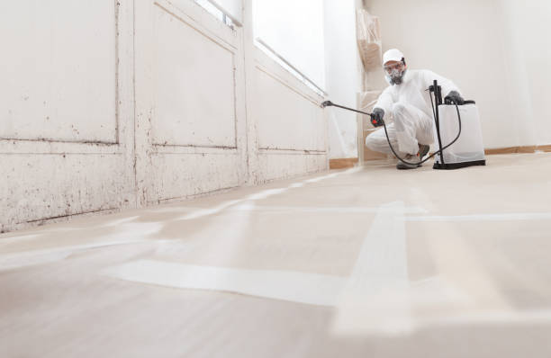 Post-remediation clearance in Lakewood